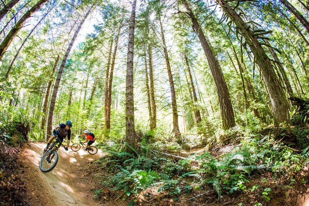 Elevate Your Vlogging: The Best Drone Cameras to Capture Stunning Aerial Footage